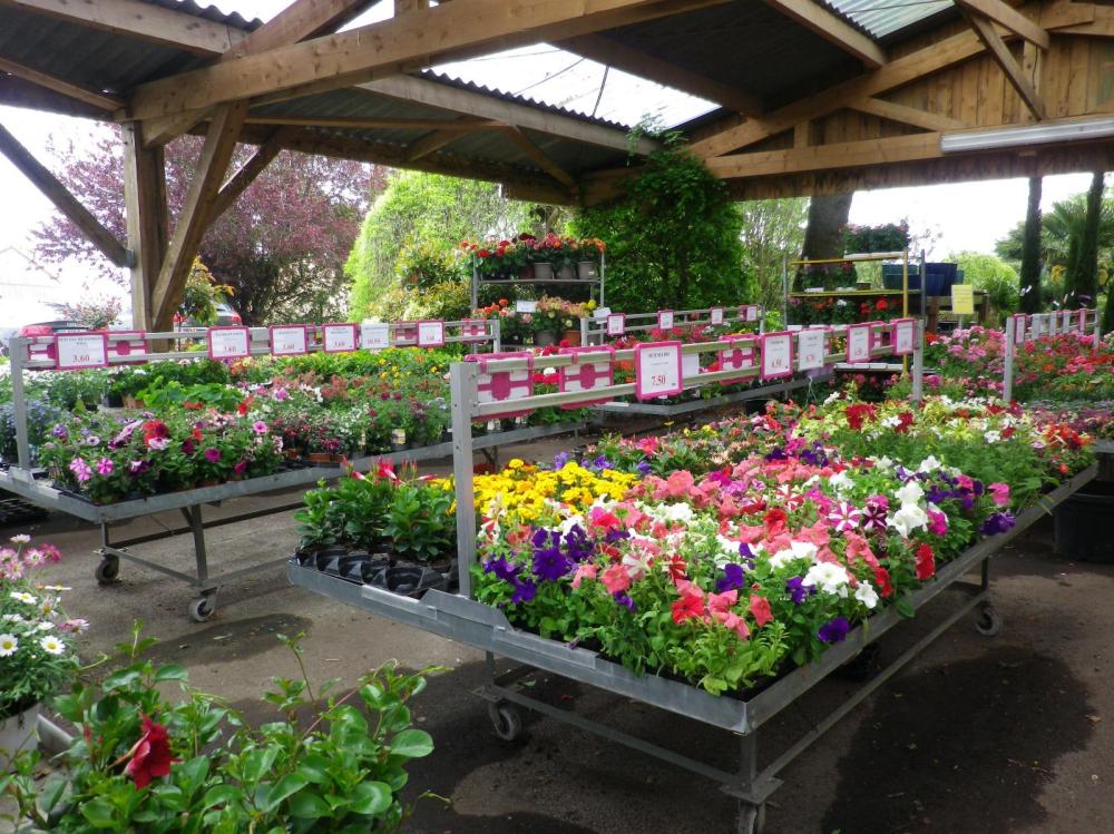 la jardinerie 2