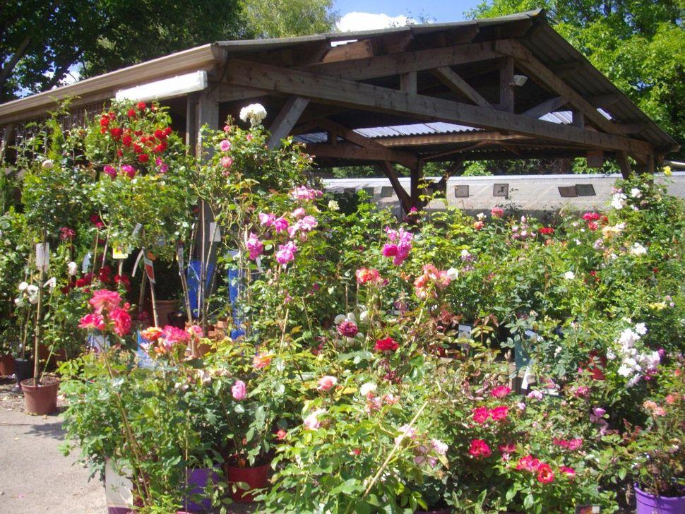 la jardinerie 3