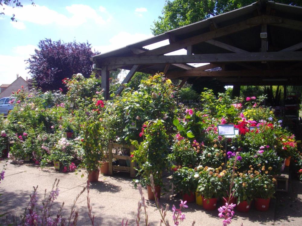 la jardinerie 1